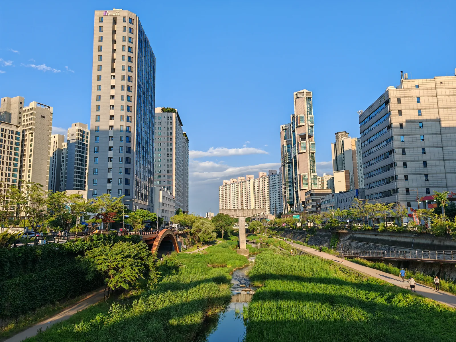 Sunlit Cheonggyecheon in Seoul with green stream banks, walking paths, an arched bridge and city buildings, photographed in June 2024.